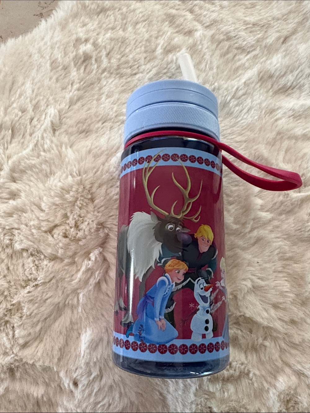Disney Frozen Red Blue Water Bottle with Frozen characters